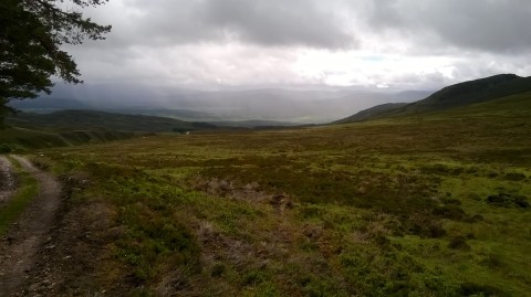 Estate road up from Kingussie, looking back