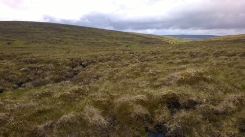 Trackless grouse moor in the Monadlhiath, between the Dulain and Findhorn catchments