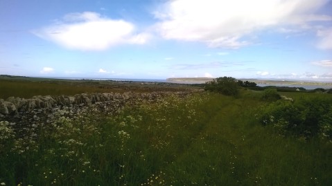 The view over the hill to Dunnet Bay